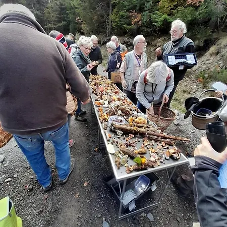 Le Prieure Saint-Florent-sur-Auzonnet