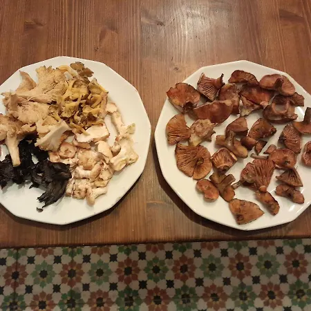 Le Prieure Saint-Florent-sur-Auzonnet