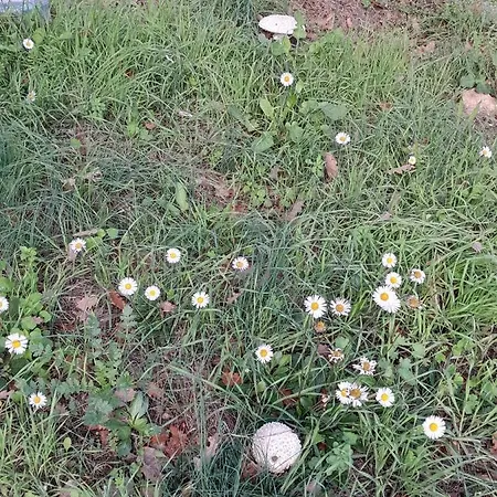 Couette-café Le Prieure