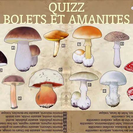 Couette-café Le Prieure 3*